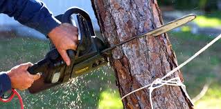 Best Lawn Irrigation Installation and Maintenance  in La Puebla, NM