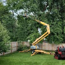 Best Tree Preservation Services  in La Puebla, NM