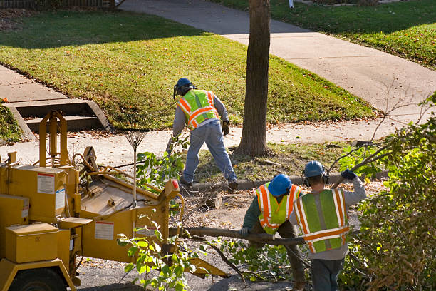 Best Commercial Tree Services  in La Puebla, NM