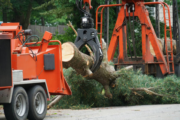 Best Lawn Drainage Solutions  in La Puebla, NM